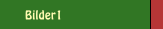 Bilder1